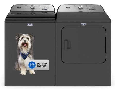 Best Washer And Dryer 2024 For Pet Hair - Cindy Deloria