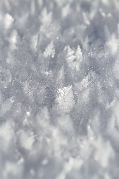 Snow Crystals On Snow Covered Field Stock Image Image Of Beautiful