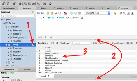 How To View Table Contents In Mysql Workbench Gui Gang Of Coders