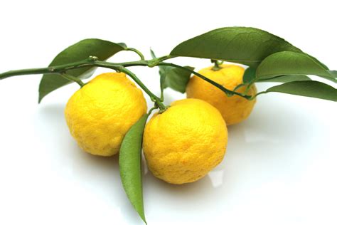 What Is Yuzu And How Is It Used