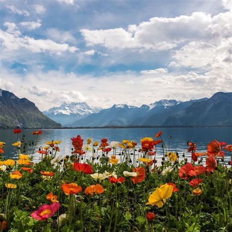 Calming Views Of The Swiss Alps And Lake Léman 😍 ⠀ Spring Landscape