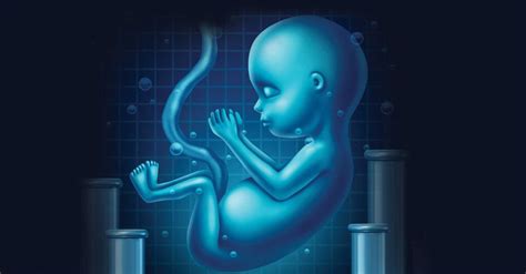 Experta Derriba Los Mitos Más Frecuentes Sobre La Infertilidad