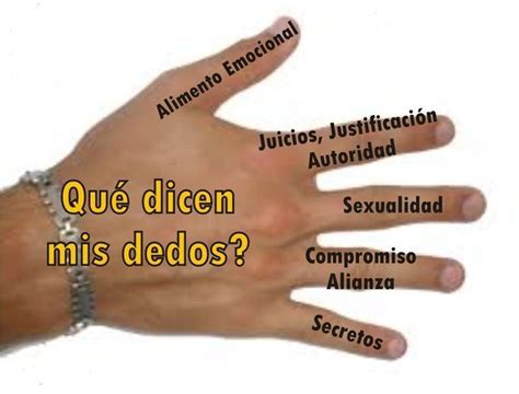 ¿qué Significa Cada Dedo De La Mano Mireya Larruskain Acompañante En