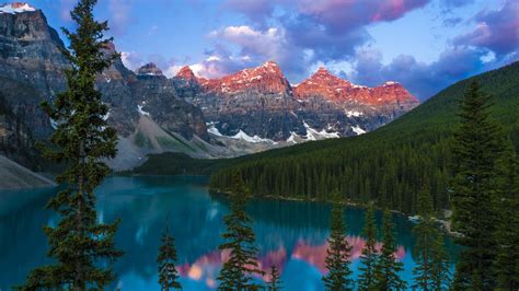 Wallpaper Lake Mountains Forest Trees Canada 1920x1200 Hd Picture Image