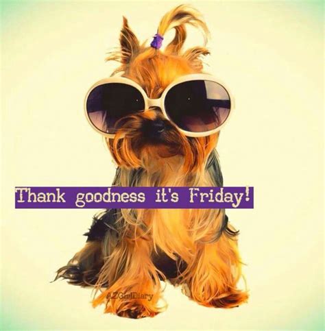Thank goodness its friday funny images. Thank goodness it's Friday | Good morning funny, Thank ...