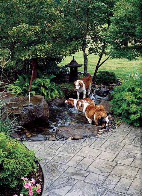 17 Fun Ways To Create Dog Playground In Garden