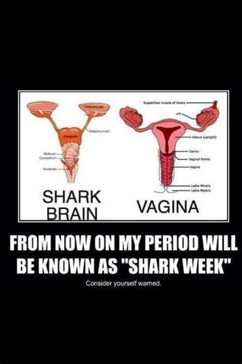 Shark Week Funny Quotes Funny Memes Jokes Period Humor Very Funny