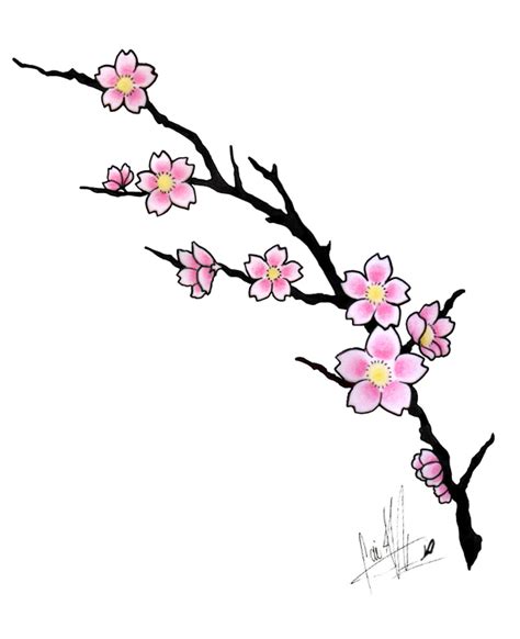 17 Cherry Blossom Outline Design Images Cherry Blossom Drawing