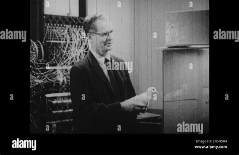 1950s B F Skinner Holding Pigeon In Lab Puts Pigeon In Box Puts
