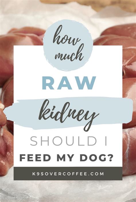 Homemade Raw Dog Food K9sovercoffee Learn About Raw Fed Fit Dogs