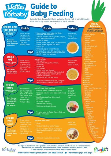 Brain food for happy babies happy ingredients, explained. Baby food stages: Baby eating tips from 4 - 12 months old