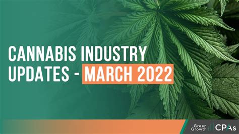 March Cannabis Industry Update Cannabis Stocks Report Youtube