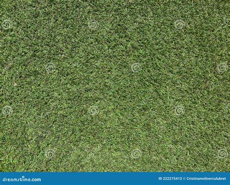 Green Grass Texture For Backgrounds Stock Image Image Of Field