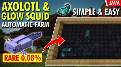 Easy Axolotl Farm And Glowing Squid Farm Minecraft Java Youtube