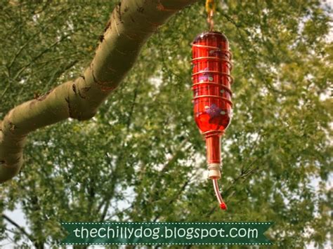 The empty bottle of wine can be put to good use by making a diy bird feeder that will help attract hummingbirds to your home and garden. 12 Awesome DIY Wine Bottle Crafts For Outdoors - Shelterness