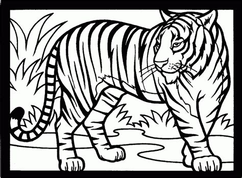 Use these images to quickly print coloring pages. Free Printable Tiger Coloring Pages For Kids