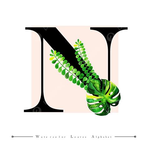 Tropical Leaves Watercolor Vector Hd Png Images Alphabet Letter N With