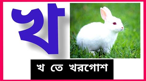 Banjonbornoবাংলা বর্ণমালা ক খ গ ঘ ঙ Bengali Alphabets Youtube