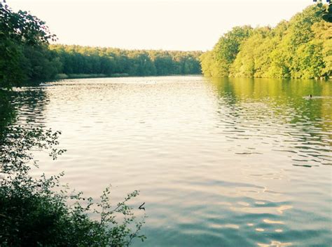 Enjoying Summer Here Is Our Guide To Lakes Of Berlin Berlin Logs