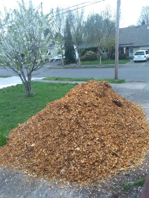 There is also a service called chipdrop that helps gardeners get free wood chip mulch deliveries from local arborists! ChipDrop: a site to sign up for delivery of free wood ...