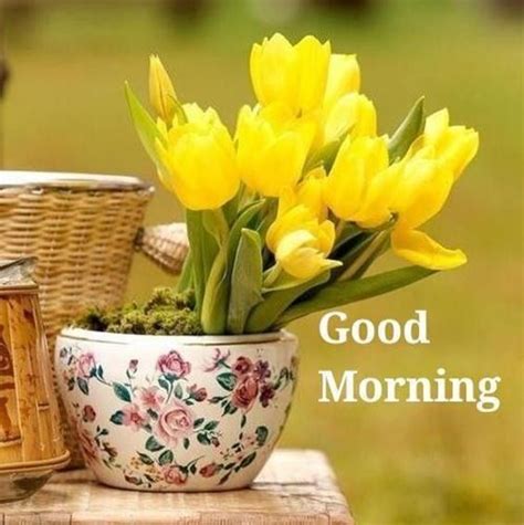 45 Best Good Morning Greetings Images Wishes Messages 2023