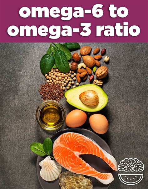 Omega 3 6 9 Fatty Acids The Bodys Building Blocks Mind Over Munch