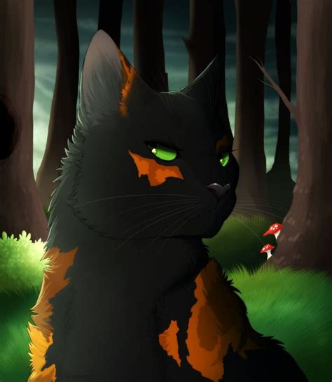 Emberstar By Pumpkabooo Warrior Cats Seasons Cats