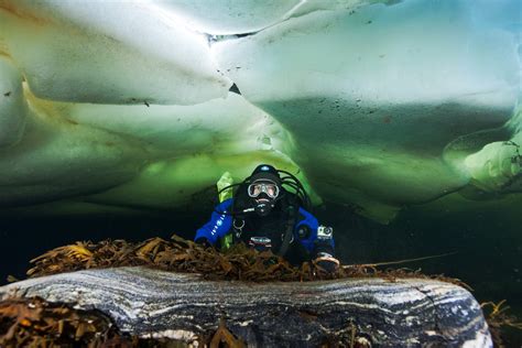 The Three Ice Diving Maidens Of Aquatilis By Aquatilis Expedition