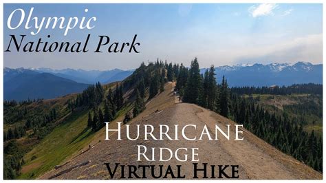 Relaxing Virtual Hike With 360 Views Hurricane Ridge 4k Olympic