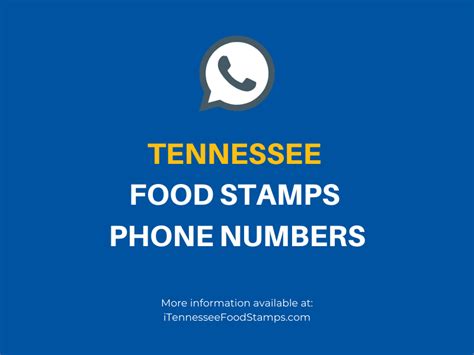 Many customers have reported experiencing judgment. Tennessee Food Stamps Phone Numbers - Tennessee Food Stamps