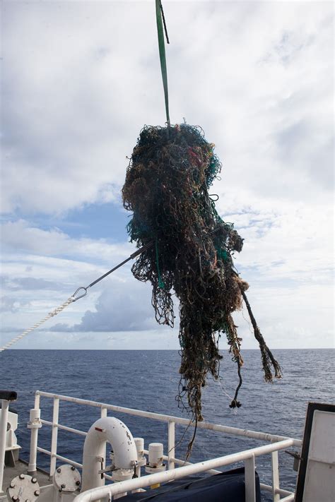 How The Seafood Industry Is Polluting The Ocean And