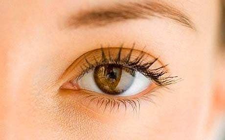 One might be amused to know 22. QI: Quite Interesting facts about eyes - Telegraph