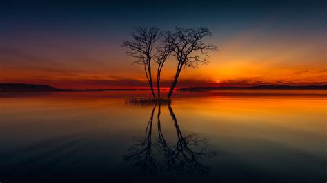 1920x1080 Horizon Lake Nature Reflection Sunset Tree Laptop Full Hd