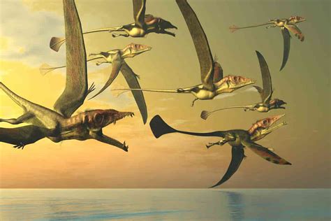 how many types of flying dinosaurs are there adventure dinosaurs