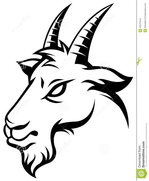 Goats Head Stock Vector Illustration Of Year Chinese 43541644