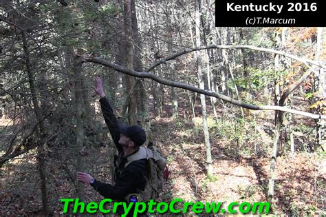 Kentucky Bigfoot Research Evidence Found ~ The Crypto Crew