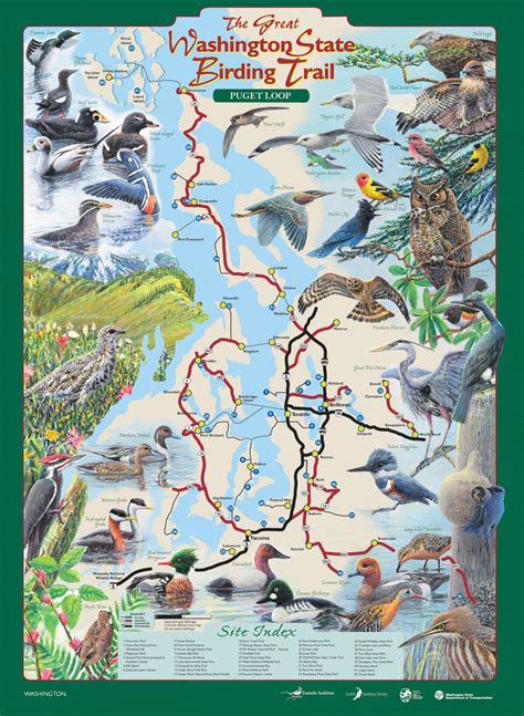 Parks Publication Highlights Newest Birding Trail Map Audubon