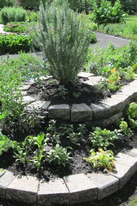 50 Simple Herb Garden Ideas You Should Try Herb Gardening Design No