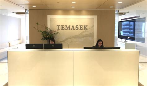 The company also invests in private equity and debt funds, such as buyout and growth capital funds, mezzanine funds, debt funds, technology venture capital funds, and life sciences. Temasek Holdings, Singapore - Electronics & Engineering ...