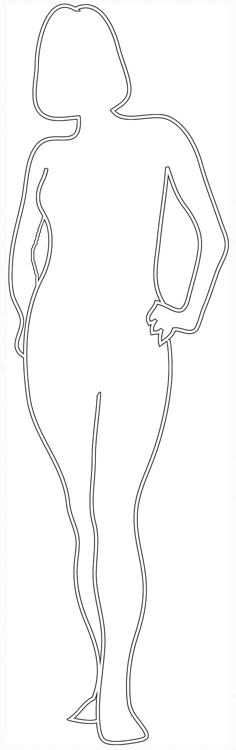 Outline Human Body Diagram Female Affordable And Search From Millions