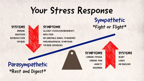 Stress Response System Breakdown
