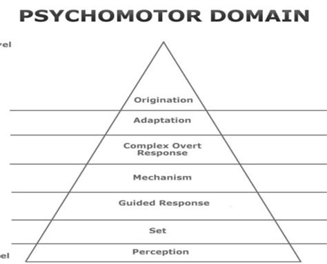 Blooms Taxonomy Psychomotor Domain Archives Educare