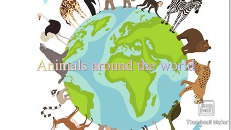 Animals Around The World Youtube