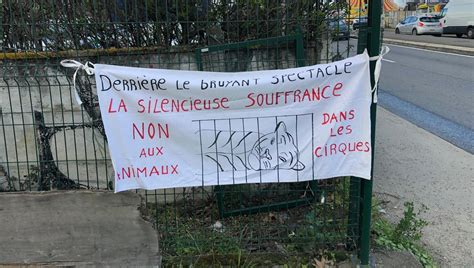Toulouse Une Quinzaine De Manifestants Contre La Présence Danimaux