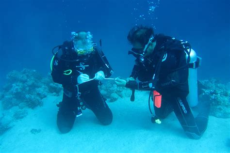 Introduction To Scuba Diving In Sharm El Sheikh 1 Dive At Ras Mohamed