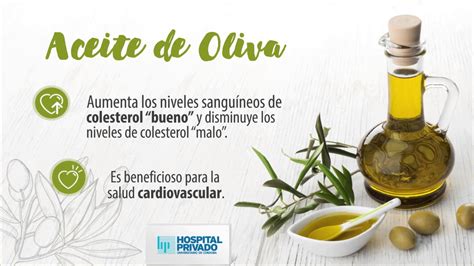 aceite de oliva tipos usos beneficios y propiedades nutricionales