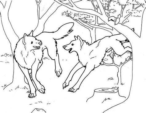 Howling wolves, hunting wolves, simple wolves live in the woods and are so pretty at night. Wolves Playing In The Forest Coloring Page - Download ...