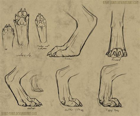 A Drawing Of Feet And Toes With Different Angles