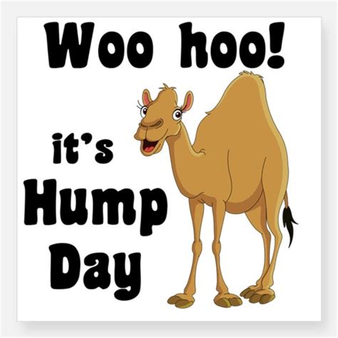 It S Hump Day Days Hump Day