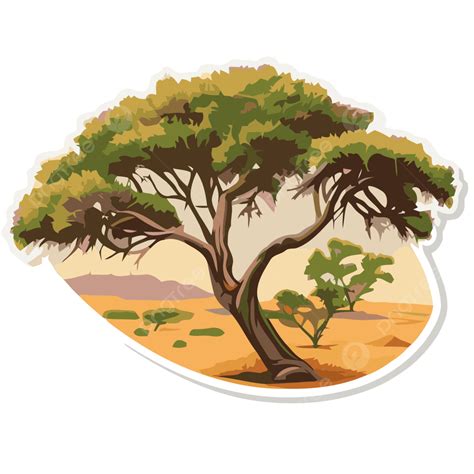 Sticker With An Acacia Tree On It Clipart Vector Acacia Tree Acacia